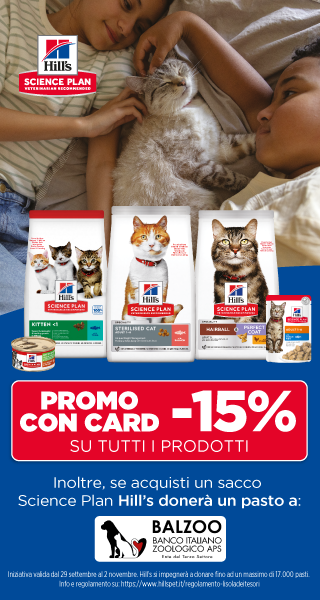 Gatto